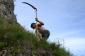 tn_444_dsc_0162.jpg